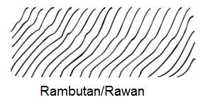 Rawan Recycled Wood Earrings